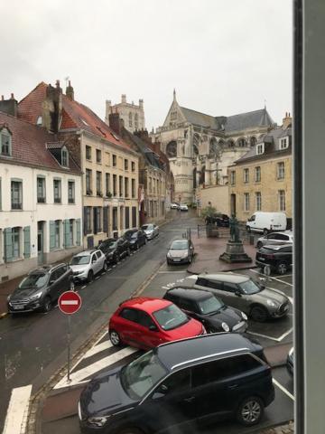 Les Dames Au Chapeau Vert Saint-Omer  Exterior photo